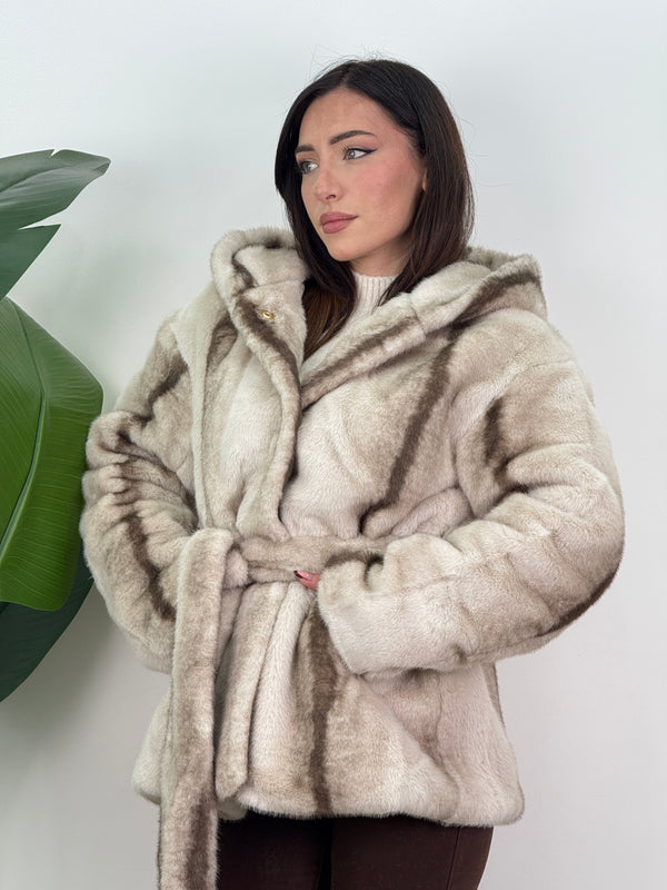 Eco visone Antartide